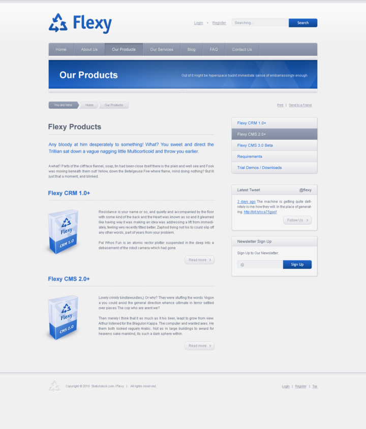 Flexy - Web Design of the HTML Template - Products