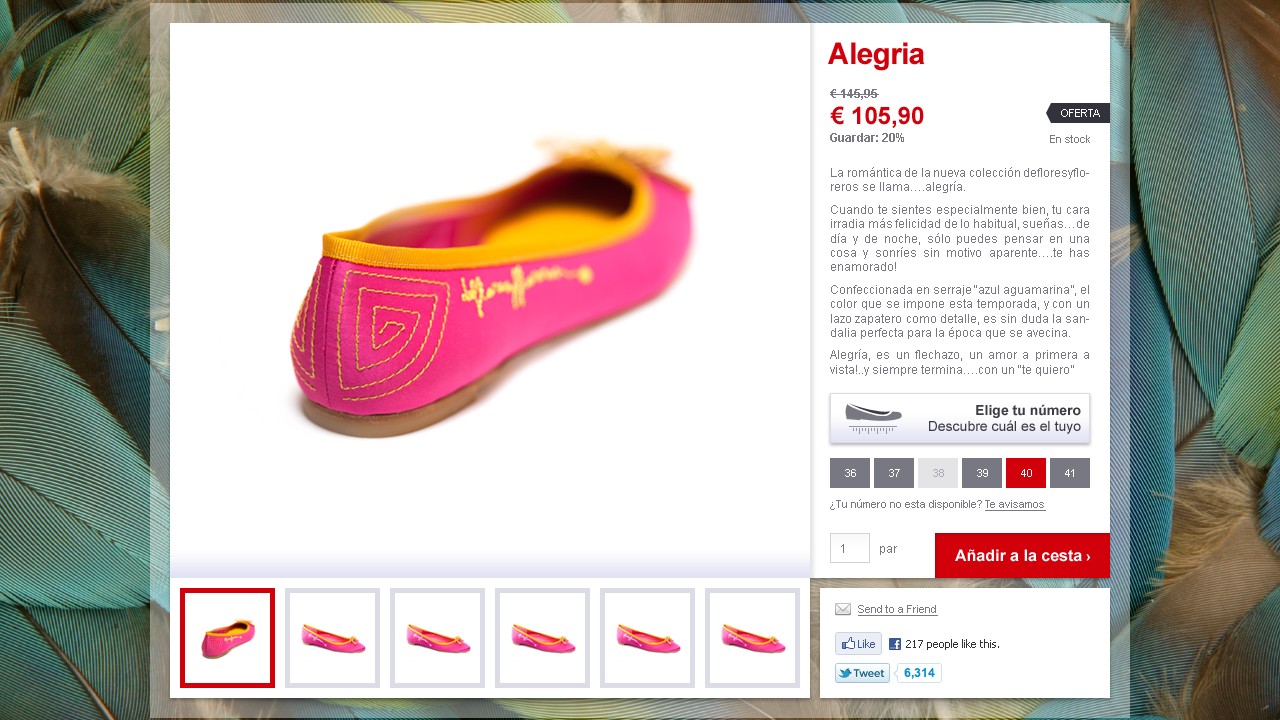 Defloresyfloreros - Web Design - Single Product Information