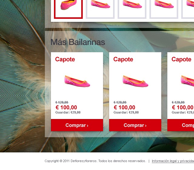 Defloresyfloreros - Web Design - Upsells