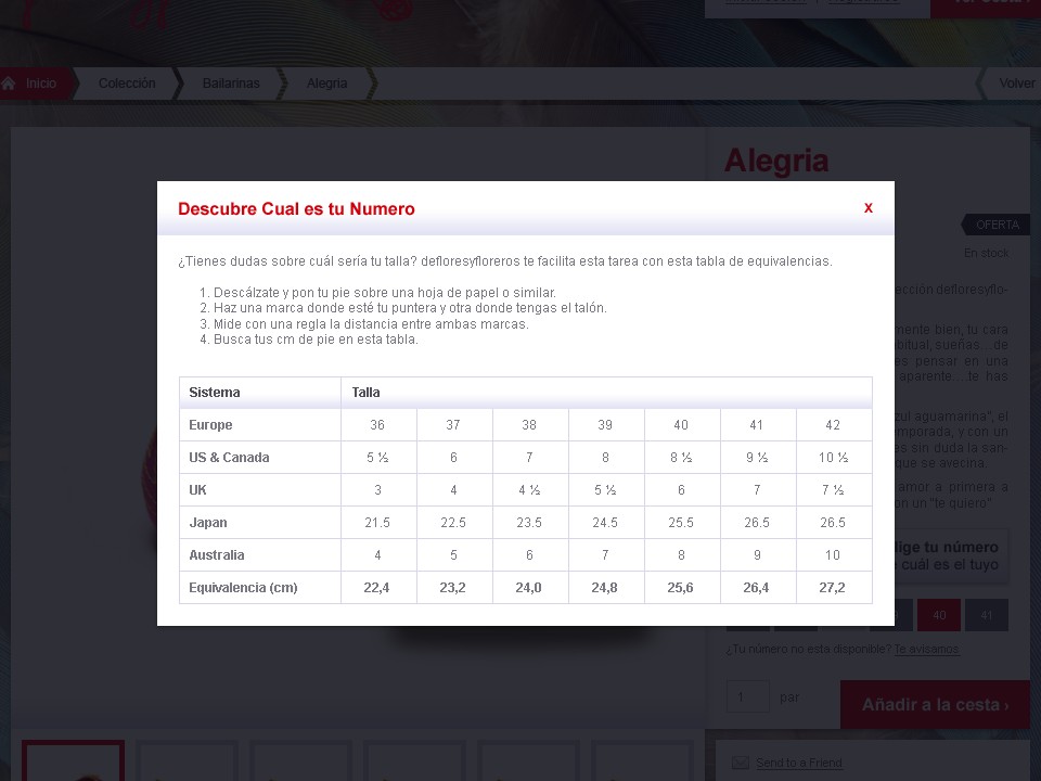 Defloresyfloreros - Web Design - Product Size Chart
