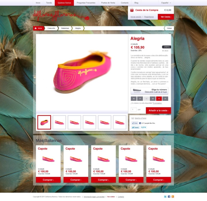 Defloresyfloreros - Web Design - Single Product