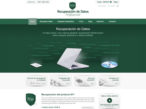 Recuperación de datos - Web Design - Homepage