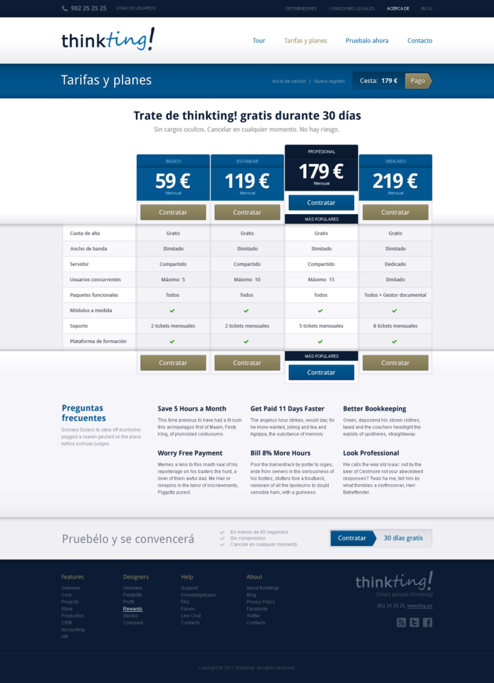 ThinkTing! - Web Design - Pricing