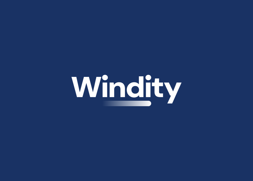 Windity - Branding - Logo - Negative
