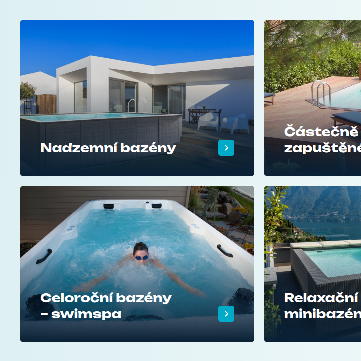 Baspa - Web Development - Products