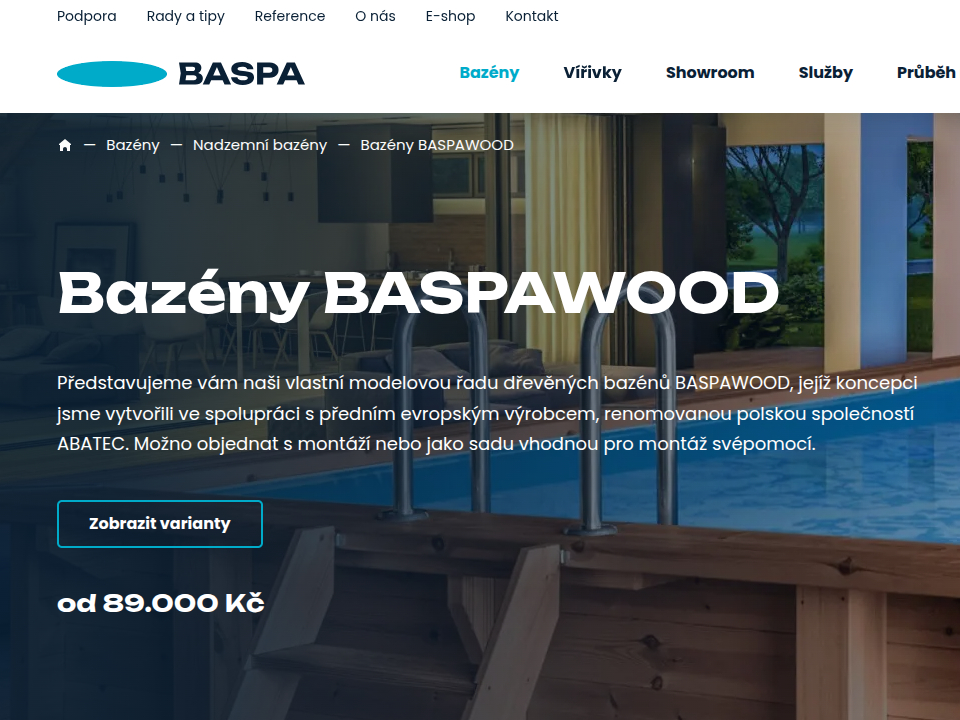 Baspa - Web Development - Product Headline