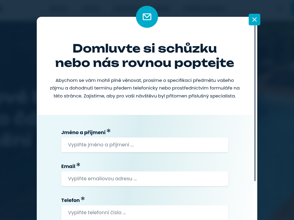 Baspa - Web Development - Inquiry Form