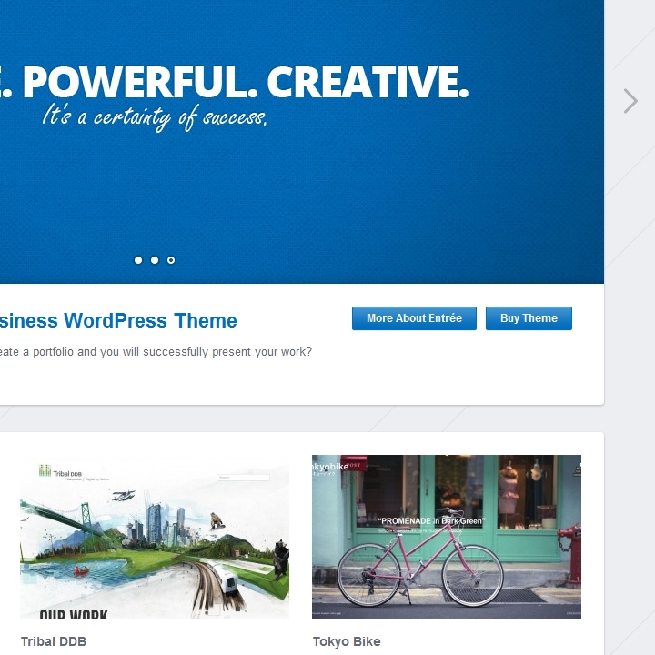 Entrée - Web Design & Development of the WordPress Theme - Slideshow, Welcome, CTA & Works