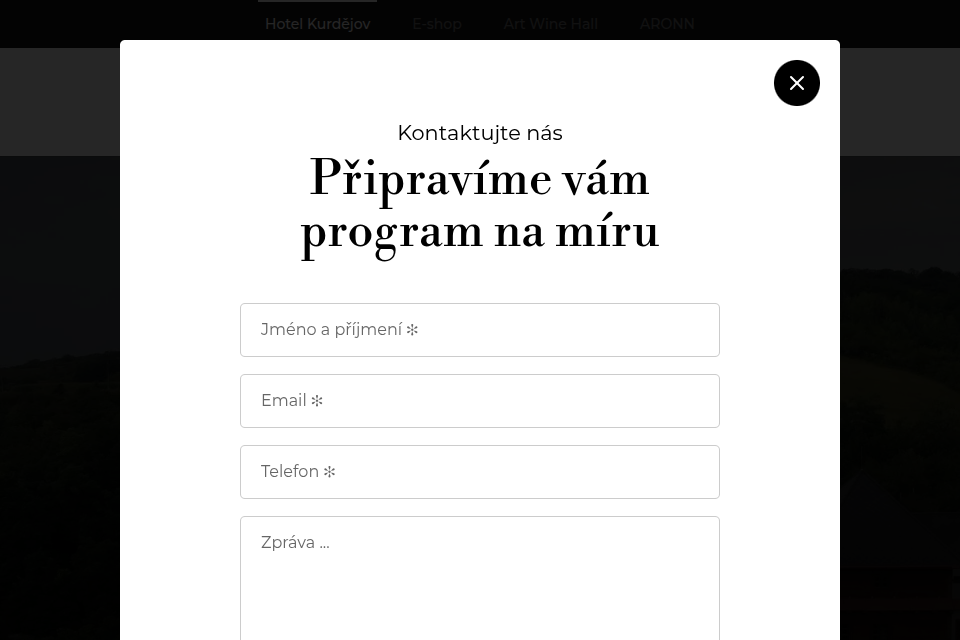 Hotel Kurdejov - Web Development - Inquiry Form