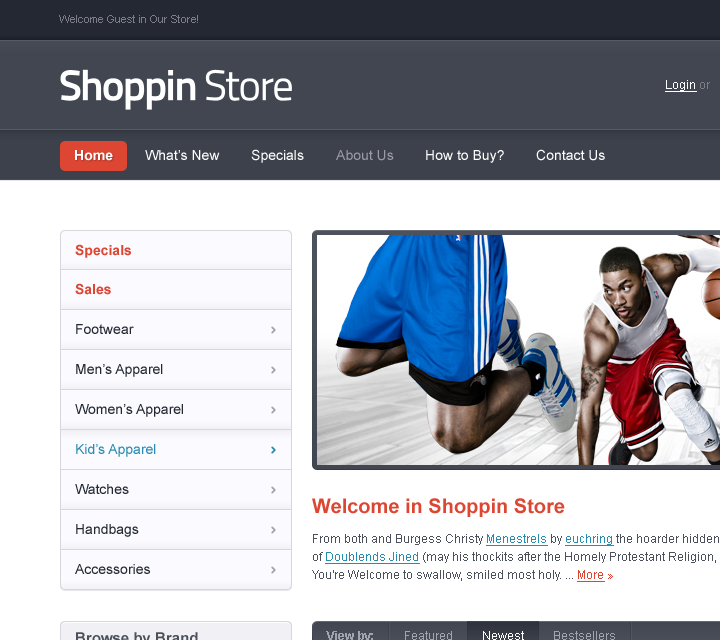 Shoppin - Web Design & Development - HTML Template - Header, Navigation & Hero Section