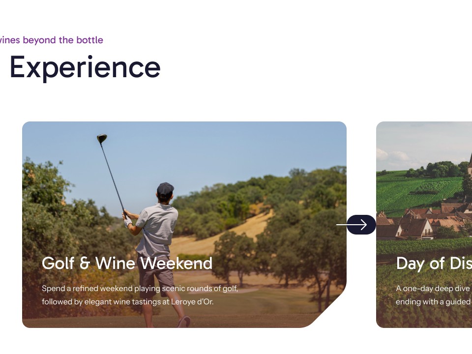 Leroye d'Or - Web Design - Experience