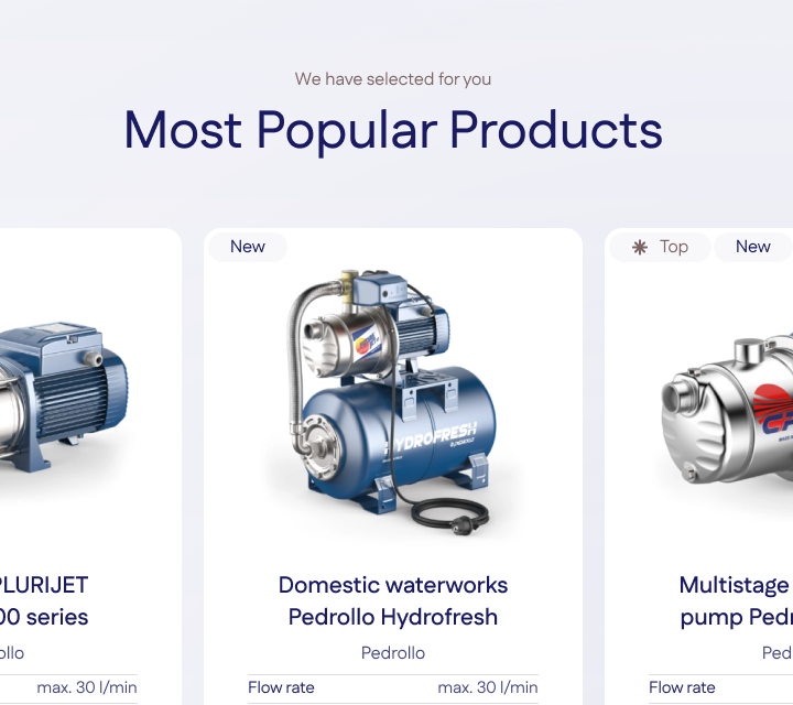 Local Pump Dealer Web Design & WordPress Development - Most Popular Products Section